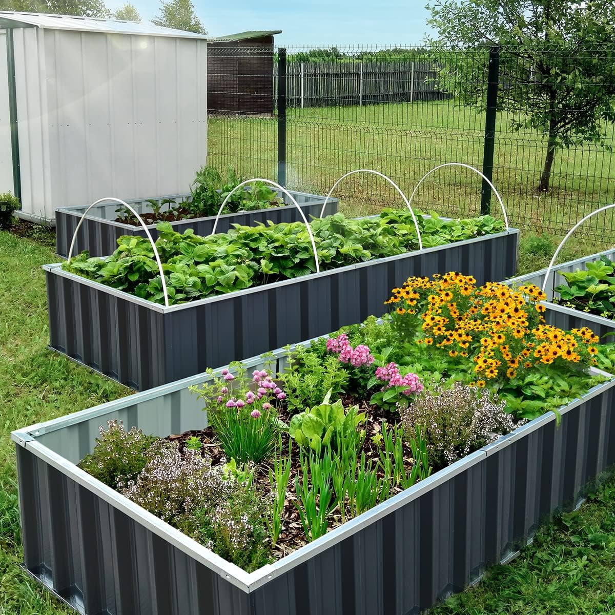 68"X 36"X 12" 2-Pack Raised Garden Bed, Easy for DIY Different Size Galvanized Steel Metal Planter Kit Box, 17 Cu. Ft. X2